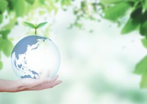 木づかい運動とは？ニッポンに与える影響についても徹底解説