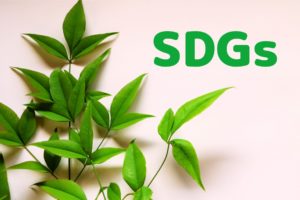 箸はSDGsに貢献できるのか？与える影響について詳しく解説